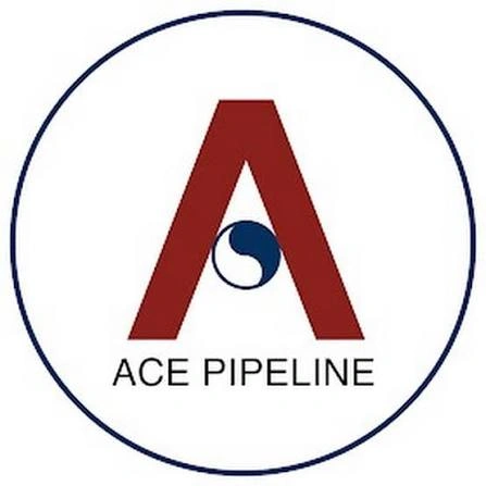 ACE Pipeline Contracts Pvt Ltd logo