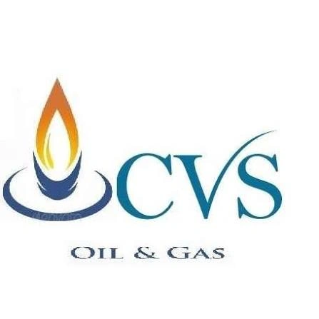 CVS Multi Services Private Limited logo